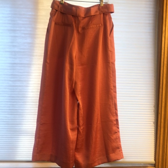 NWT Anthropologie Moon River cropped wide leg pants pink medium - Picture 3 of 5